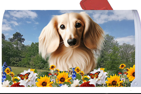 Dachshund Cream Longhaired - Best of Breed Summer Flowers Mailbox Cover Hi-Grade Vinyl 6" x 19"