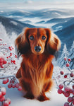 Dachshund Longhaired Red - Best of Breed DCR Winter Berries Outdoor House and Garden Flag