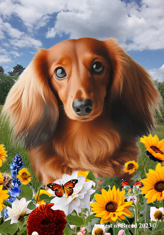 Dachshund  Red Longhaired - Best of Breed  Summer Fields Outdoor House and Garden Flag