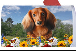 Dachshund  Red Longhaired - Best of Breed Summer Flowers Mailbox Cover Hi-Grade Vinyl 6" x 19"