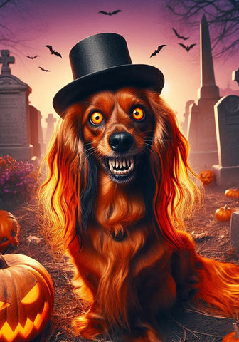 Dachshund Longhaired Red - Best of Breed DCR Halloween Outdoor House and Garden Flag