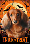 Dachshund  Red Longhaired - Best of Breed  Halloween Outdoor House and Garden Flag