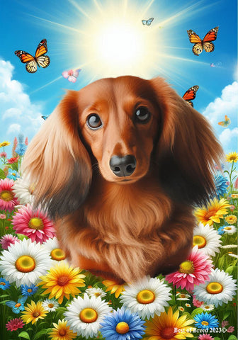 Dachshund  Red Longhaired - Best of Breed  Summer Butterflies Outdoor House and Garden Flag