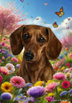 Dachshund Red Smooth - Best of Breed  Spring Butterflies Outdoor House and Garden Flag