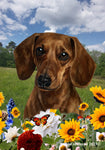 Dachshund Red Smooth - Best of Breed  Summer Fields Outdoor House and Garden Flag