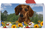 Dachshund Red Smooth - Best of Breed Summer Flowers Mailbox Cover Hi-Grade Vinyl 6" x 19"