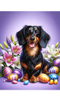 Dachshund Black/Tan Longhair - Best of Breed DCR Easter Holiday    Outdoor House and Garden Flag