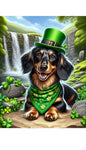 Dachshund Black/Tan Longhair - Best of Breed DCR Saint Patricks Day Day Outdoor House and Garden Flag