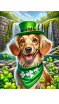 Dachshund Cream Longhaired  - Best of Breed DCR Saint Patricks Day Day Outdoor House and Garden Flag