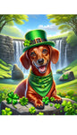 Dachshund Red  Smooth - Best of Breed DCR Saint Patricks Day Day Outdoor House and Garden Flag