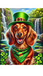 Dachshund Longhaired Red - Best of Breed DCR Saint Patricks Day Day Outdoor House and Garden Flag