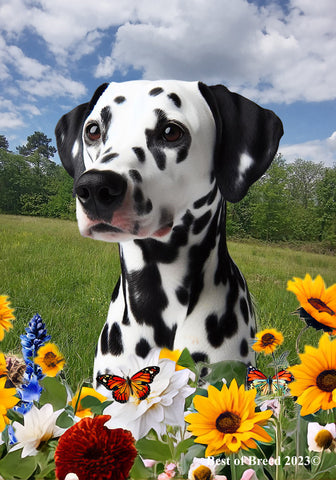 Dalmatian Black/White - Best of Breed  Summer Fields Outdoor House and Garden Flag