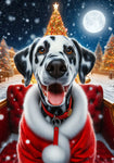 Dalmatian Black and White - Best of Breed DCR Christmas Outdoor House and Garden Flag