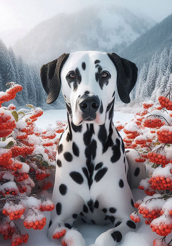 Dalmatian Black and White - Best of Breed DCR Winter Berries Outdoor House and Garden Flag