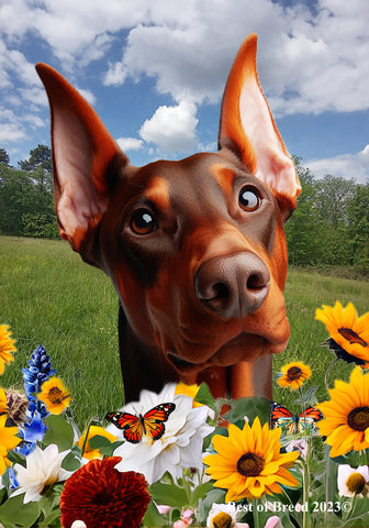 Doberman Red Cropped  - Best of Breed  Summer Fields Outdoor House and Garden Flag