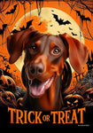 Doberman Red Uncropped  - Best of Breed  Halloween Outdoor House and Garden Flag