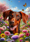 Doberman Red Uncropped  - Best of Breed  Spring Butterflies Outdoor House and Garden Flag