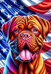Douge De Bordeaux - Best of Breed DCR Patriotic III   Outdoor House and Garden Flag