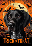 English Pointer Black/White - Best of Breed  Halloween Outdoor House and Garden Flag