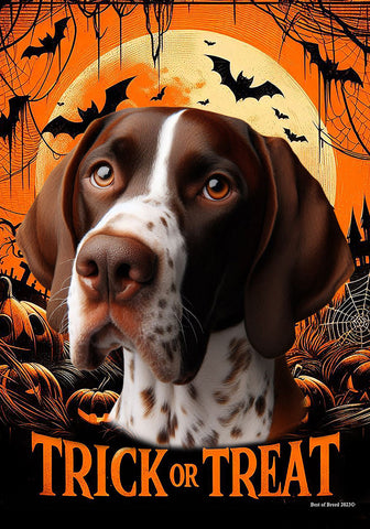 English Pointer Liver/White -  Best of Breed  Halloween Outdoor House and Garden Flag