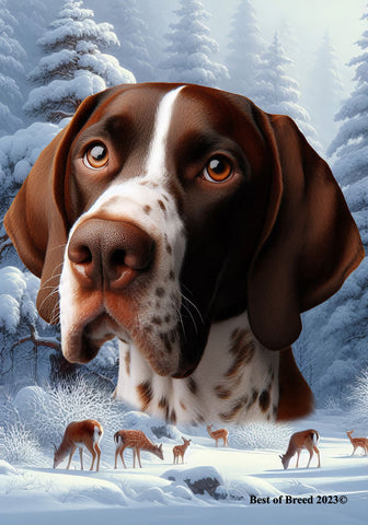 English Pointer Liver/White -  Best of Breed  Winter Wonderland Outdoor House and Garden Flag