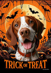 English Pointer Red/White -  Best of Breed  Halloween Outdoor House and Garden Flag