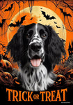 English Setter Black/White -  Best of Breed  Halloween Outdoor House and Garden Flag