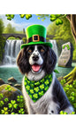 Springer Spaniel Black/White - Best of Breed DCR Saint Patricks Day Day Outdoor House and Garden Flag