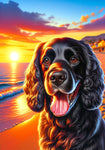 Field Spaniel Black - Best of Breed DCR Summer Sunset Outdoor House and Garden Flag