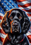 Field Spaniel Black - Best of Breed DCR Patriotic III   Outdoor House and Garden Flag