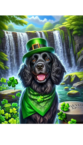 Field Spaniel Black - Best of Breed DCR Saint Patricks Day Day Outdoor House and Garden Flag