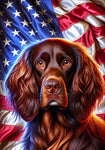 Field Spaniel Brown - Best of Breed DCR Patriotic III   Outdoor House and Garden Flag