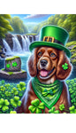 Field Spaniel Brown - Best of Breed DCR Saint Patricks Day Day Outdoor House and Garden Flag