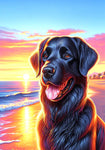 Flat Coated Retriever - Best of Breed DCR Summer Sunset Outdoor House and Garden Flag