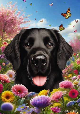 Flat Coated Retriever -  Best of Breed  Spring Butterflies Outdoor House and Garden Flag