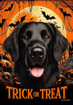 Flat Coated Retriever -  Best of Breed  Halloween Outdoor House and Garden Flag