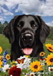 Flat Coated Retriever -  Best of Breed  Summer Fields Outdoor House and Garden Flag