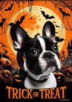 French Bulldog Black/White - Best of Breed  Halloween Outdoor House and Garden Flag