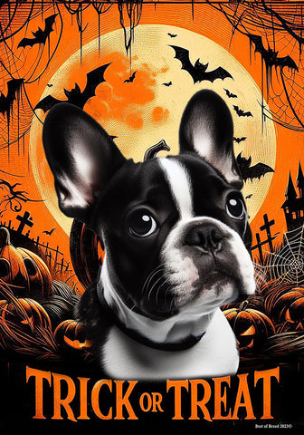 French Bulldog Black/White - Best of Breed  Halloween Outdoor House and Garden Flag