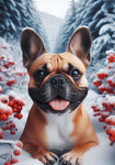 French Bulldog Fawn - Best of Breed DCR Winter Berries Outdoor House and Garden Flag