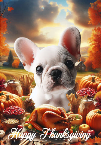 French Bulldog White - Best of Breed  Thanksgiving Outdoor House and Garden Flag
