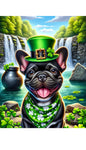 French Bulldog Black- Best of Breed DCR Saint Patricks Day Day Outdoor House and Garden Flag