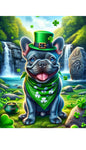 French Bulldog Blue - Best of Breed DCR Saint Patricks Day Day Outdoor House and Garden Flag