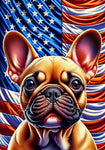 French Bulldog Fawn - Best of Breed DCR Patriotic III   Outdoor House and Garden Flag