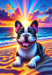 French Bulldog Black and White - Best of Breed DCR Summer Sunset Outdoor House and Garden Flag