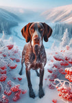 German Shorthair Pointer - Best of Breed DCR Winter Berries Outdoor House and Garden Flag