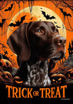 German Shorthair Pointer - Best of Breed  Halloween Outdoor House and Garden Flag