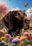 German Shorthair Pointer - Best of Breed  Spring Butterflies Outdoor House and Garden Flag