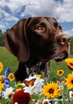 German Shorthair Pointer - Best of Breed  Summer Fields Outdoor House and Garden Flag