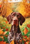 German Shorthair Pointer - Best of Breed DCR Falling Leaves Outdoor Flag